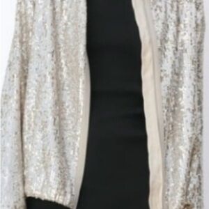 NEW Zara Silver Sequin Blazer, Large